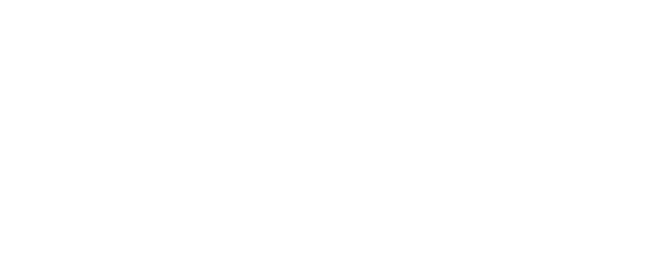 business finance expert