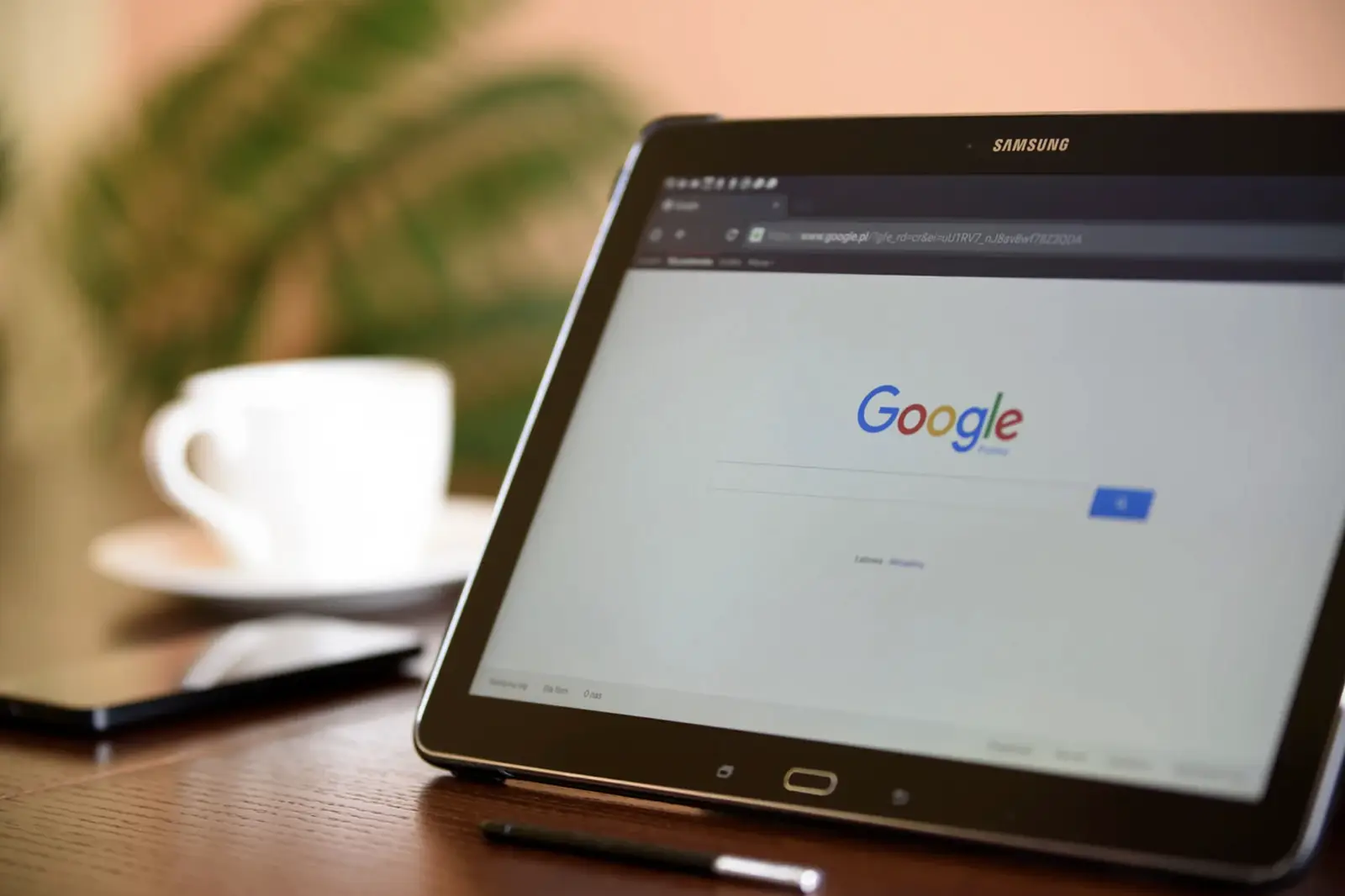 Small Business SEO